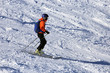 © U. J. Alexander - Skier riding the slope