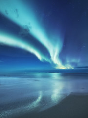 Wall Mural - aurora borealis on the lofoten islands, norway. green northern lights above ocean. night sky with po