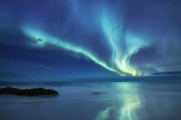 Wall Mural - aurora borealis on the lofoten islands, norway. green northern lights above ocean. night sky with po