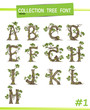Tree font.Twisted tree  in the shape of letter.Letter A B C vector alphabet with tree. ABC concept type as logo.Eco concept. 