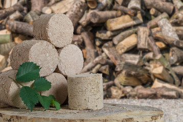 Holz Pellets für den Kamin oder die Heizung. Alternative zu Gas oder Heizöl.