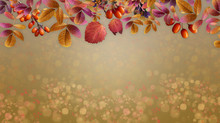 Autumn Background Ripe Fruits And Yellowed Leaves