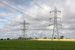 © Stephen - electricity pylons in a field