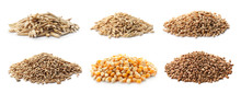 Set With Different Cereal Grains On White Background