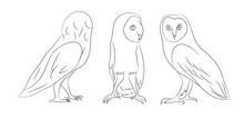 Owl Stands Drawing Lines, Vector