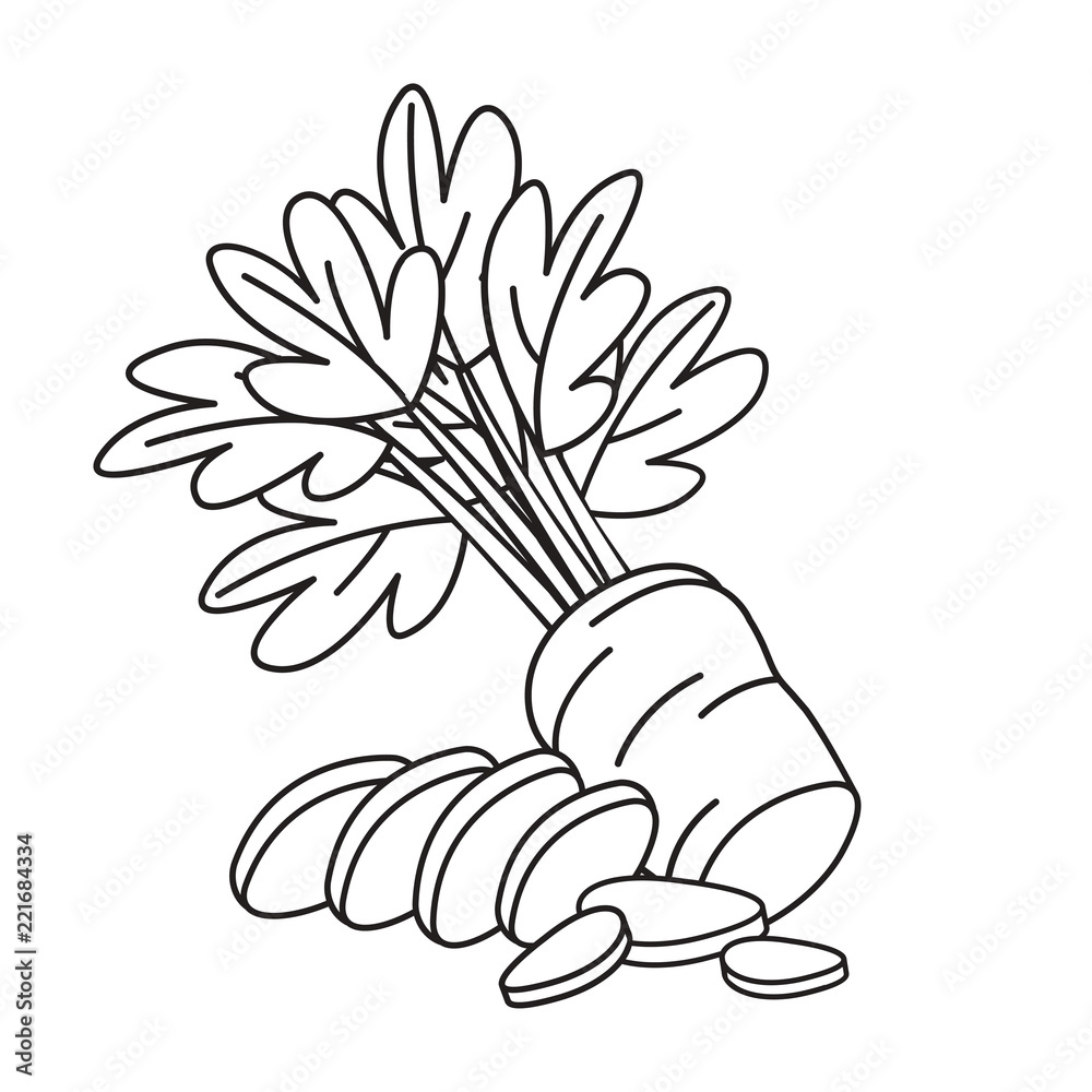 black outline isolated sliced carrot vector drawing Stock Vector | Adobe  Stock, image size:1000x1000