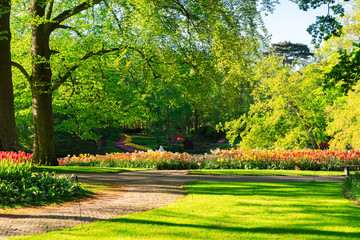 fresh spring lawn with blooming flowers and green grass in formal garden