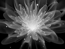 Glowing Fractal Flower Black And White