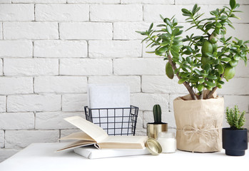 house plants and cacti in beautiful metal pots. an idea for decorating a room