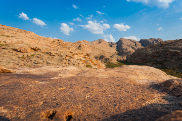 The extinct volcano of Bektau-Ata and a plant on a rock in the Asian desert