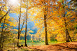 © smallredgirl - Autumn trees on the shore of lake in Austrian Alps.