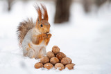 The squirrel stands with nut in paws on the snow in front of a pile of nuts