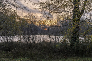  sunrise at pond