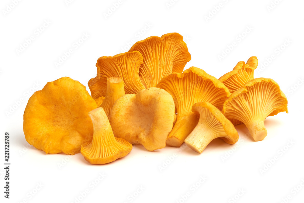Raw fresh chanterelles mushrooms, isolated on white background. - obrazy, fototapety, plakaty 