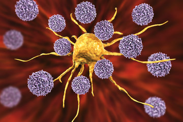 Sticker - T-lymphocytes attacking cancer cell, 3D illustration. Anticancer immunity and treatment concept