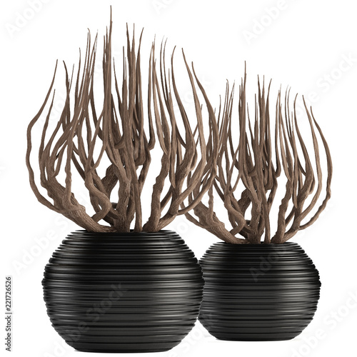 Decorative Vases With Dry Branches Buy This Stock Photo And