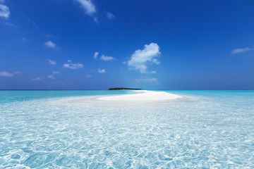 Wall Mural - Maldivian sandbank in Indian ocean