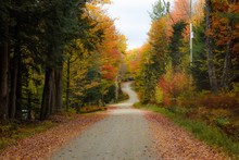 A Road Surrounded By Fall Color In New England