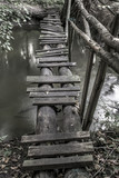 Fototapeta  - Stara drewniana kładka na leśnej rzece. rezerwat grądy nad Moszczenicą, Szczawin, Zgierz