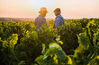 © jackfrog - Two French winegrowers in their vines at sunset