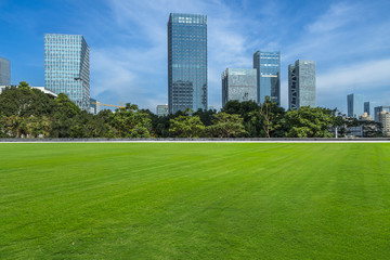 green lawn with city skyline background