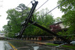 © ungvar - transformer on a pole and a tree laying across power lines over a road after Hurricane moved across