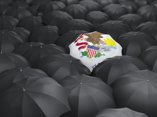  illinois state flag on umbrella. United states local flags
