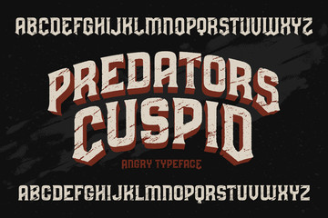 Poster - vector vintage typeface with scratched old texture effect