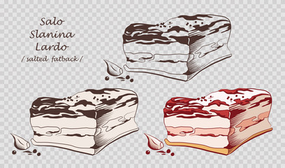 Wall Mural - Piece of salo isolated on the pseudo transparent background. Slanina, solonyna, lardo. Salted or cured pork fat. Set of outline, black and white, colored images. Vector. Icon, emblem, logo element.