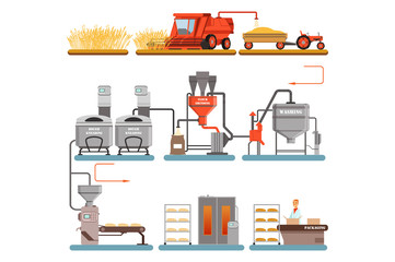 Sticker - Bread production process stages from wheat harvest to freshly baked bread vector Illustrations