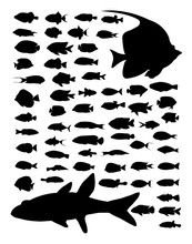 Fish Silhouette. Good Use For Symbol, Logo, Web Icon, Mascot, Sign, Or Any Design You Want.