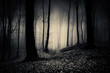 © andreiuc88 - dark woods at night, gothic landscape
