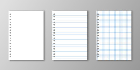 Blank paper, lined paper and square paper with holes on grey background.