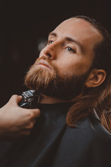 Wall Mural - Close-up of barber shearing beard to man in barbershop