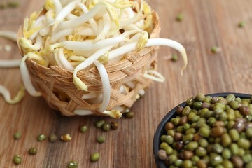 Wall Mural - Bean sprouts with seed