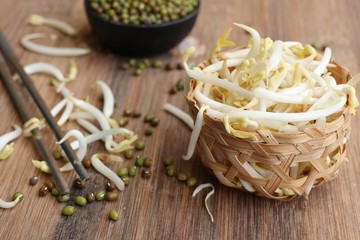 Poster - Bean sprouts with seed