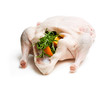 Raw whole  duck stuffed with orange and rosemary isolated on white