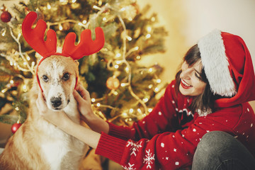 girl putting on cute dog reindeer antlers on background of golden beautiful christmas tree with lights in festive room. doggy with adorable eyes at glowing illumination. family winter holidays