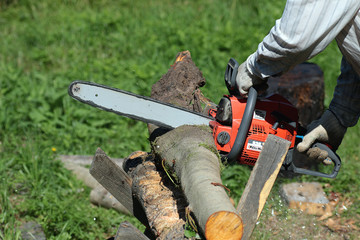 Canvas Print - chainsaw to cut firewood