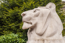 Glasgow, Scotland, UK - June 17, 2012: Closeup Of White Stone Lion Head At War Memorial On George Square. Green Foliage As Background.