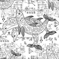 Wall Mural - Seamless pattern with three dolphins and sacred geometry symbols on white. Esoteric, occult and mysterious concept with sacred geometry elements, graphic vector illustration