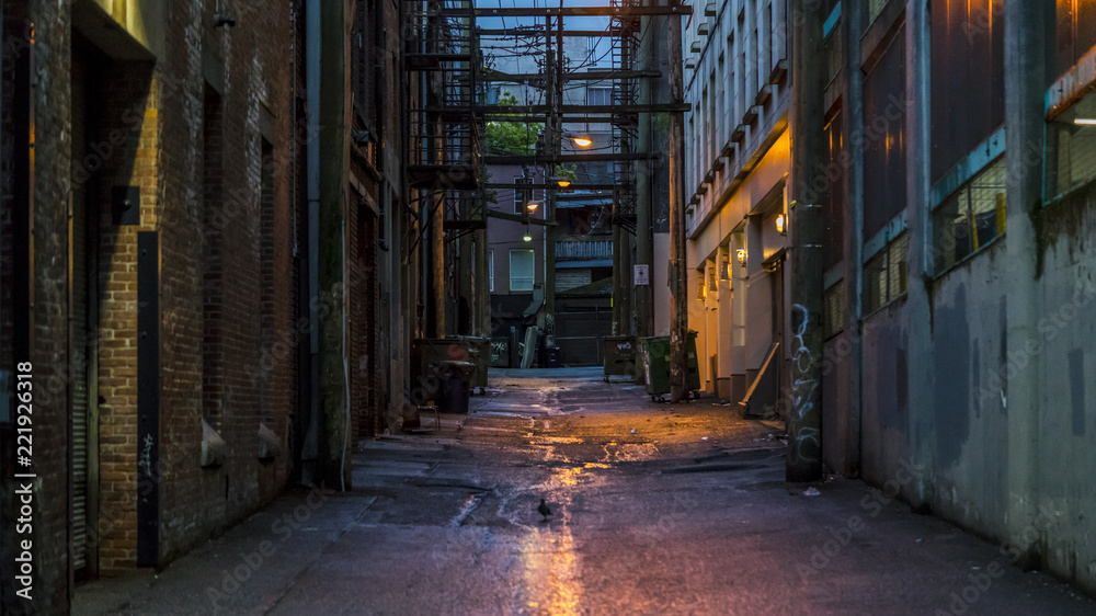 Obraz Empty dark and scary back alley. Desolated area in one of the most vibrant cities in North America. The alley is in the vicinity of the well known "Hastings" St. Vancouver, British Columbia. Canada. fototapeta, plakat