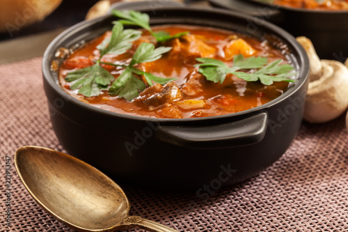 Fotografie, Obraz Stew soup with meat, potatoes, mushrooms and red pepper