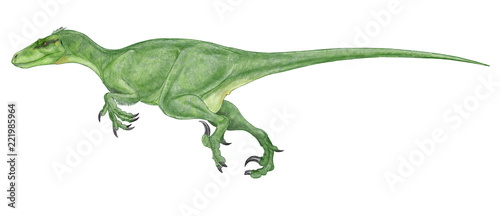 ユタラプトル ユタの簒奪者 ドロマエオサウルス科のラプトル では図抜けて大型 白亜紀前期 体長7ｍ大型で 30ｃｍに及ぶ後肢の鉤爪が発掘されている 部分的に発見されている化石からの再現イラスト 2003年に作成したが 2018年修正を加えたオリジナルイラスト Buy