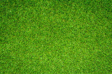 Wall Mural - Green grass background