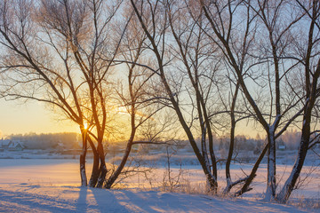 Sticker - winter morning with snow and frost