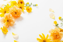 Yellow  Flowers On White Background