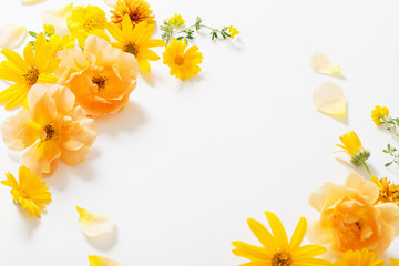 Canvas Print - yellow  flowers on white background