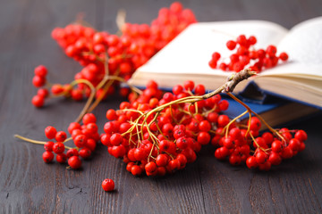 Wall Mural - Rowan berries on vintage wooden boards