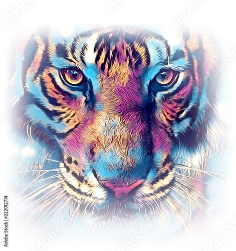 Fotografie, Tablou  tiger art illustration color